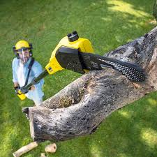 Trusted Le Grand, CA Tree Removal and Landscaping Services Experts